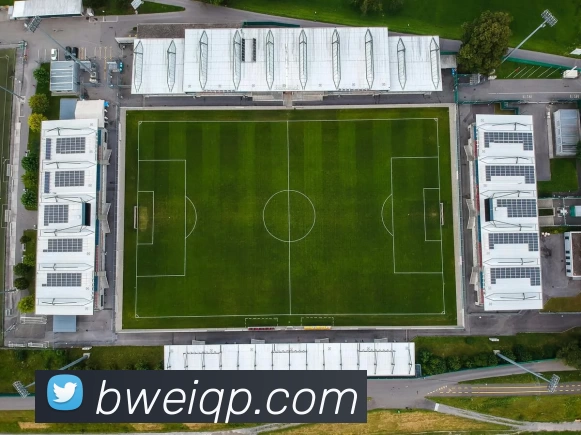 必威棋牌平台生态图